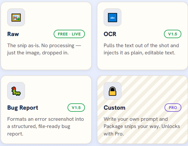 Pidjn's Presets page: Raw is marked FREE and LIVE; OCR, Describe and Bug Report are marked v1.5; Custom is marked Pro.